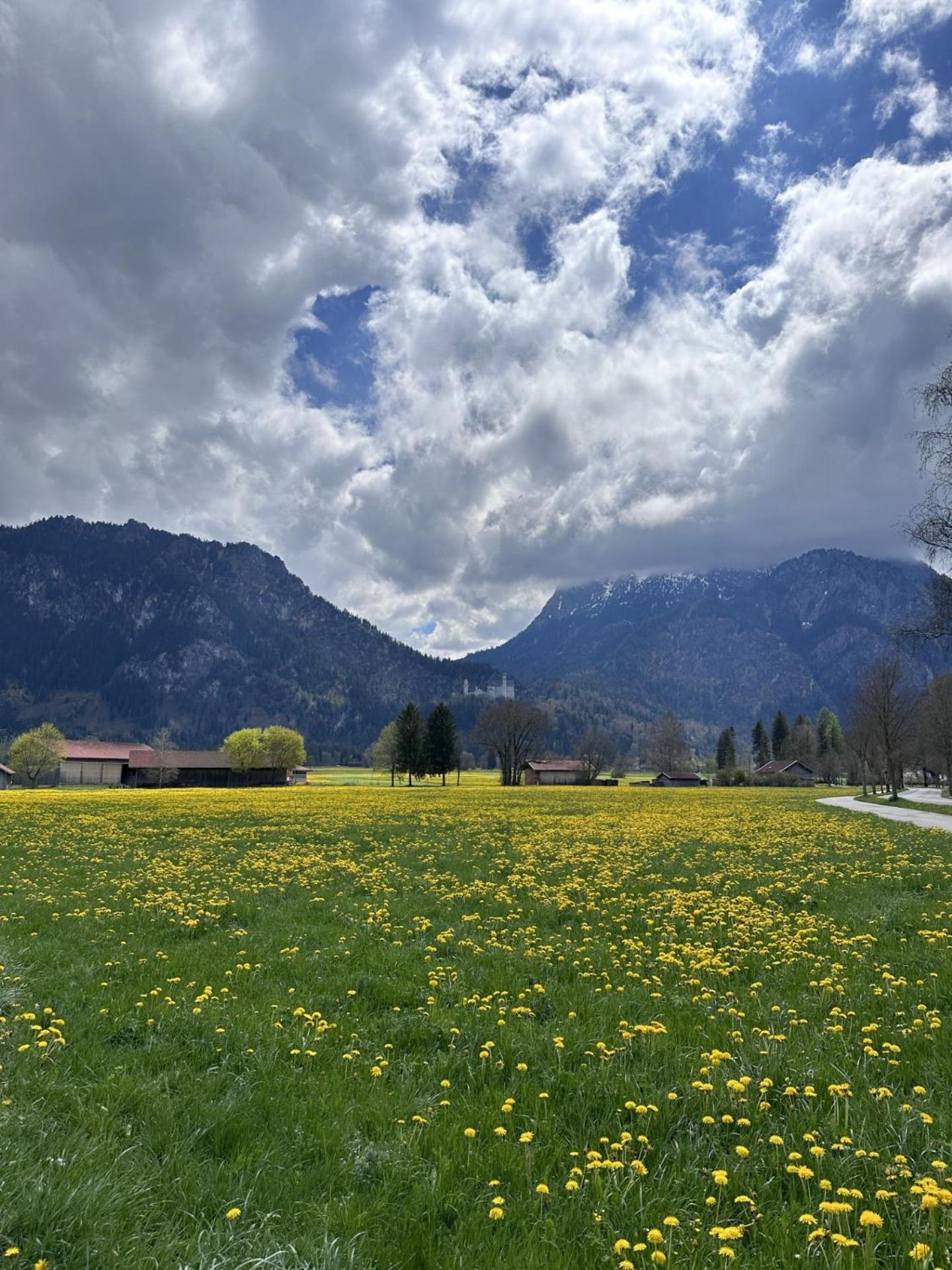 Gaestehaus Apollo Apartman Schwangau Kültér fotó
